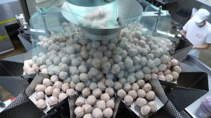 Внутри тайваньского мясоперерабатывающего завода! Свиные фрикадельки, ветчина, бекон