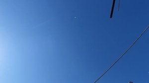 21.06.26 г. Андижанская порода голубей (1)