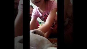 Двойная жизнь Фисы 1 сезон 5 серия