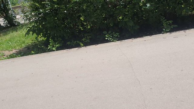 21-06-2026 Прогулка на свежем воздухе🤗💋💕