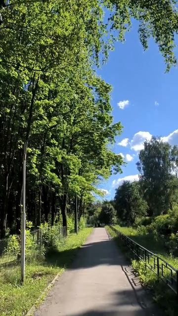 В парке смотреть онлайн