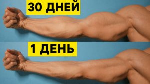 Тренировка Больших Рук За 30 дней | Дома