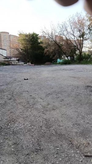 Покатушки на багги | 21-июн-2026 2