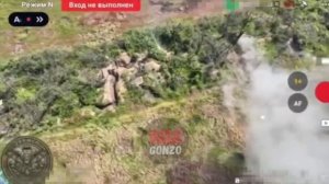 Как на Запорожье пропалывают лесополки от боевиков ВСУ