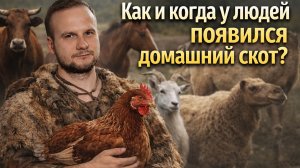 Как и когда у людей появился домашний скот ?
