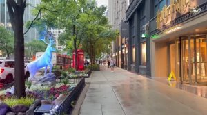 Прогулка под дождем в Чикаго ☔️ среда, 10 июня 2026 года