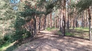 Продлевает ли работа жизнь?