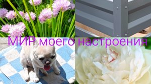 20.06.26 Дача.Новый компостер.