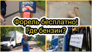 Форель в,,Магнит»,взяли бесплатно!Куда делся весь бензин?Куда ехать и где искать🤔🤔🤔