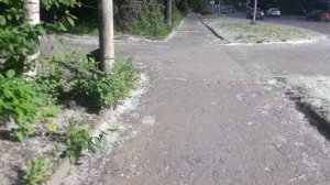 Массированная атака на части Карелии Пухом произошла 20 июня