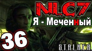 S.T.A.L.K.E.R. NLC 7: «Я - Меченный» #36. Замеры на Радаре