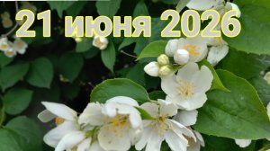 21 июня 2026. Надежда съездила к сестре...