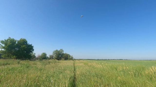 Здесь живёт любовь.😊 смотреть онлайн
