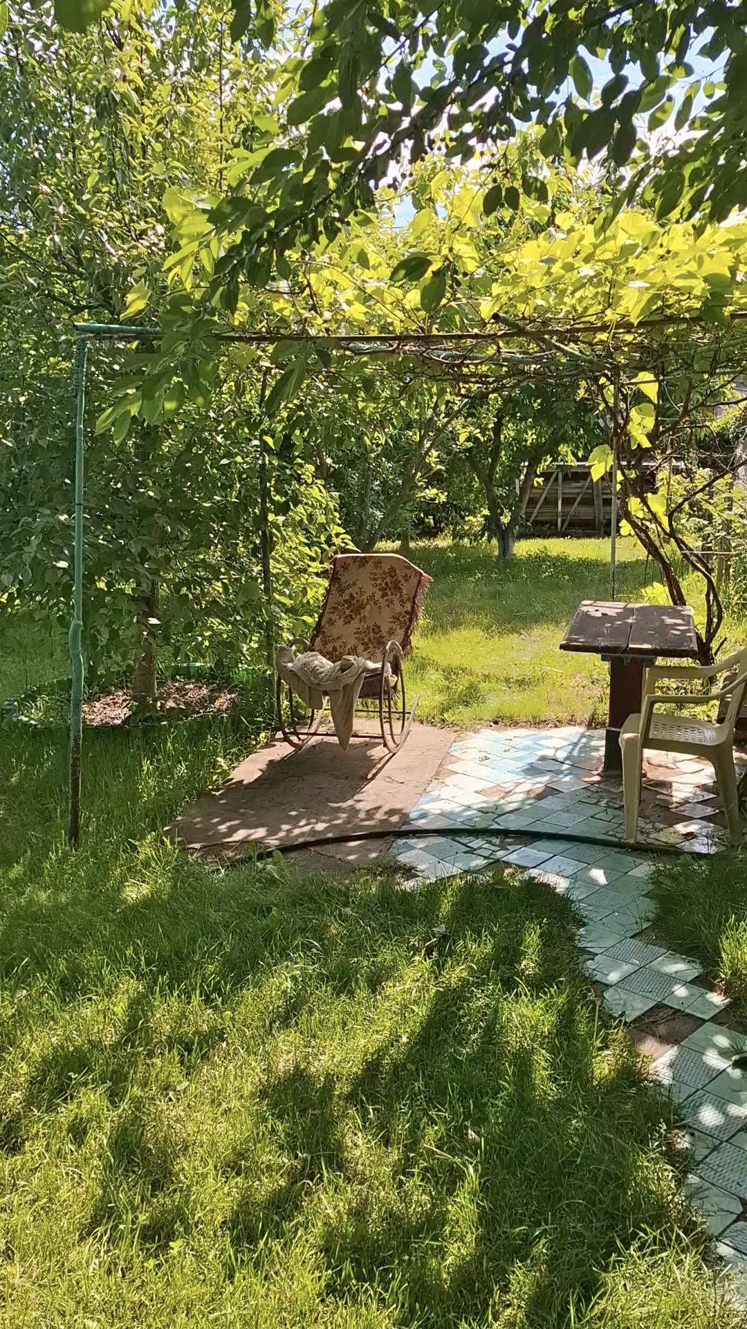 Как пахнет солнечное утро в деревне🌞Деревенское утро: где время течёт медленнее #деревня #лето