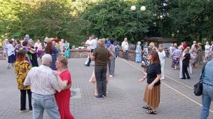 Старый клён...... 20.06.26 Гомель парк Луначарского 🥰💫