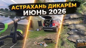 Дикарями в АСТРАХАНИ. Рыбалка на сазана в распред июнь 2026 года) Сазан есть он не может не есть!