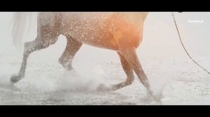 Красивый клип  энергич.музыки