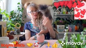 🖋️🚀 БЕЖЕНЦЫ, ДАЙ СИЛ ПРОЙТИ ЭТОТ ПУТЬ 💃🔥МОИ БУДНИ 🚀🖋️
