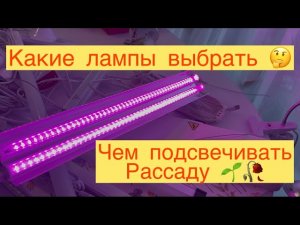 ЧЕМ ПОДСВЕЧИВАТЬ РАССАДУ 🌱 КАКИЕ ЛАМПЫ ВЫБРАТЬ 🌱🌱🌱