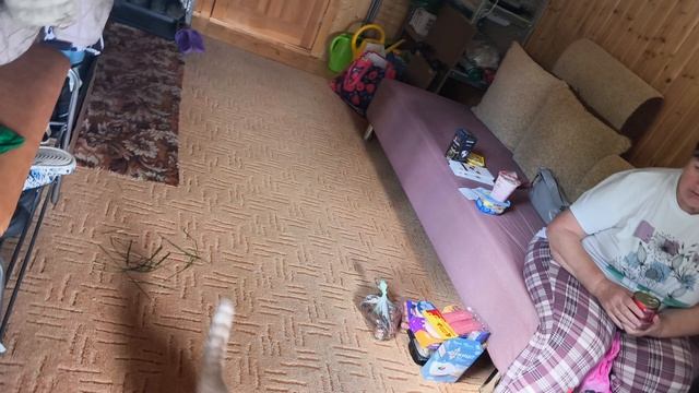 Распаковка и болталка. смотреть онлайн