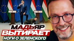 ШАРИЙ Анатолий. Мадьяр вытирает ноги о Зеленского
