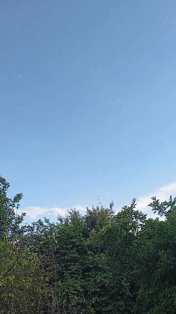 Страсть