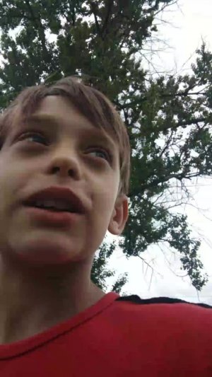 даоеы по забр