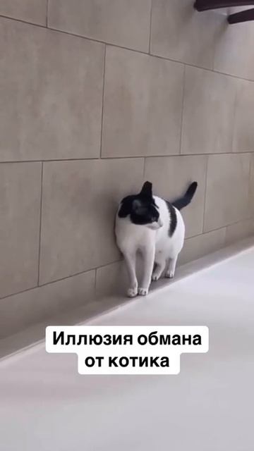 Иллюзия обмана смотреть онлайн