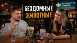 Бездомные животные, почему их столько и кто виноват