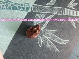 хочу в 37 подписчиков#