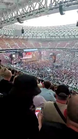 Цой жив