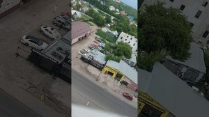 Наблюдаем за трамваем «Львёнок»