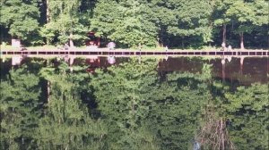 Утренний обзор с нижнего водоёма. Клёвое место, Лосиный остров.