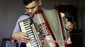 К Элизе на аккордеоне.