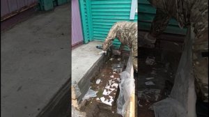 РЕМОНТ ПОРОГА В ДОМ