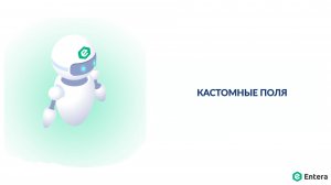 Кастомные поля