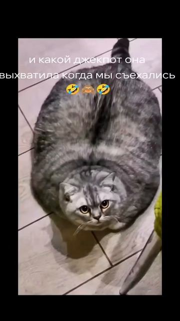 😃😃😃 смотреть онлайн