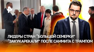Укроевропейское «кукареку» после саммита с Трампом / ДОБРОВЭФИРЕ