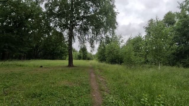 прогулка по лесу серия 50 смотреть онлайн