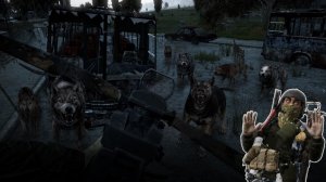 3 серия [ Они пытались свести меня с ума ] Destroyed world PVE  HARD Dayz 1.29