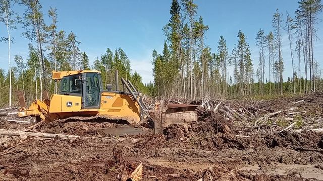 V-образный отвал John Deere 850J: расчистка лесосеки