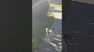 Подходим к речке 21.06.26