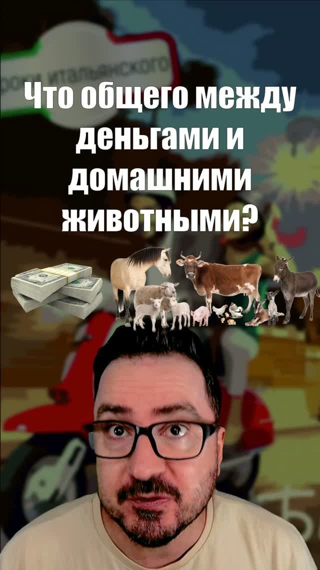 Почему деньги связаны с коровами? 🐄💰 #итальянскийязык  #история  #италия #shorts