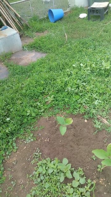 В гостях у мамы