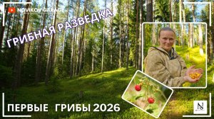 Грибная разведка 20 июня 2026. Приозерский и Выборгский район.