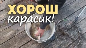 Вечерняя рыбалка и  #деньсолнцестояния