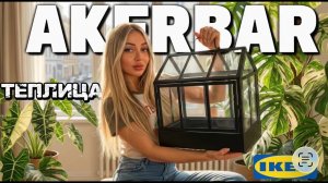 ТЕПЛИЦА ИЗ  IKEA — развод или находка? Проверяем на практике🌵🏡