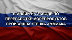 В Индии на заводе по переработке морепродуктов произошла утечка аммиака