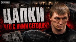 БАНДА ЦАПКОВ. Кошмар Кущевки / Что с ними сегодня?