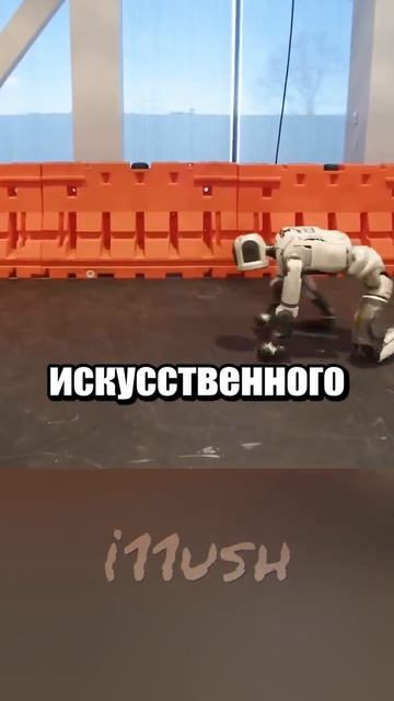21-06-2026 смотреть онлайн
